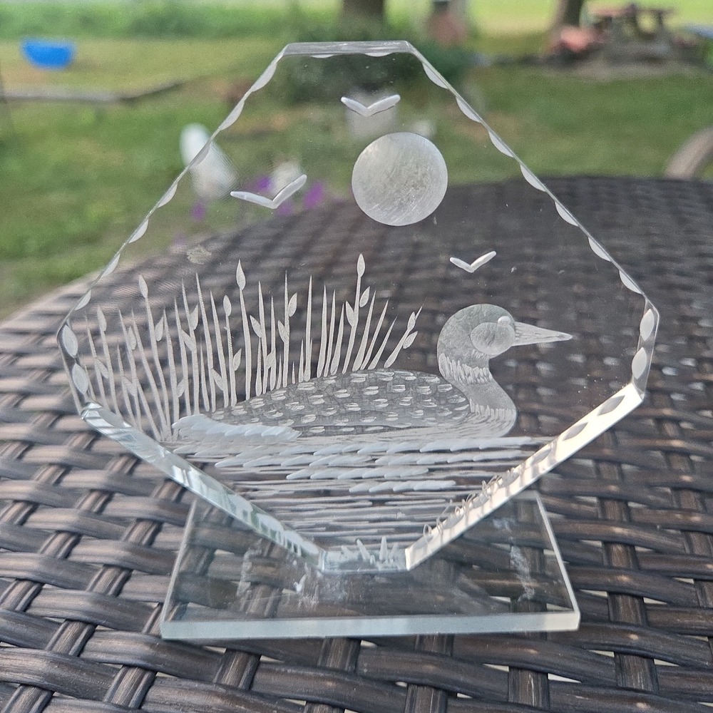 Frank Albrecht Signed Lake LOON LUCITE ETCHING Sculpture Paperweight